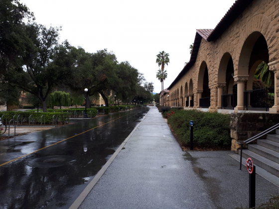 Stanford_Egyetem