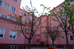 oradea_13_3 oradea_13_3