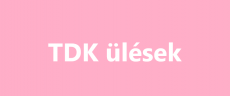 TDK_ULESEK