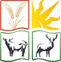 symb-color
