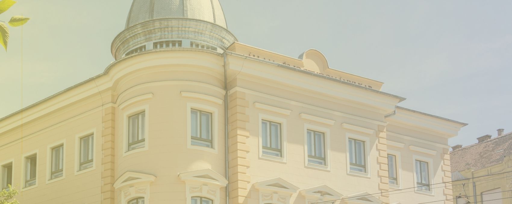 Honlap_boritokep_masolata